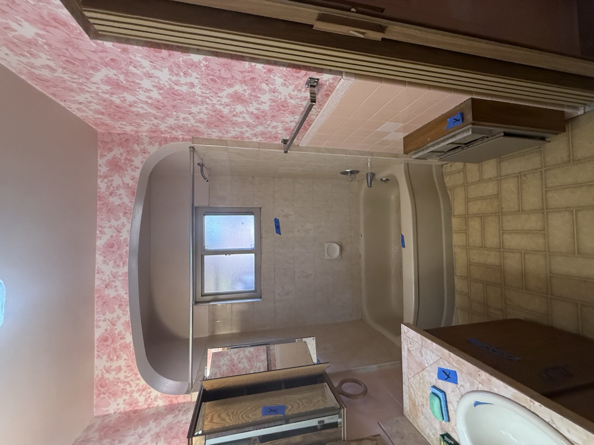 Guest Bathroom Before