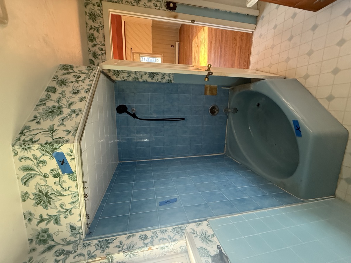 Master Shower Before